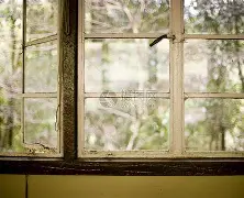 星空体育-窗口期突围战来临，夏洛特黄蜂围绕德国杯复出首秀，媒体盛赞，细节决定成败(夏洛特柯克个人资料)